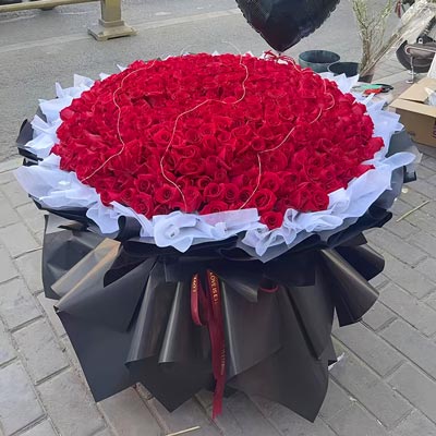 520���õ�壬���㲻���ٵ�