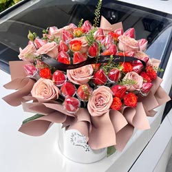 ������ɫ����