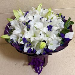 �����ĵ�����