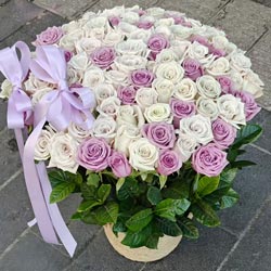 ������������