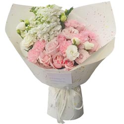 11���õ��6���ɫ����ܰ���������Ŵ���