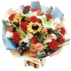 11���ɫ����ܰ2�����տ�����������