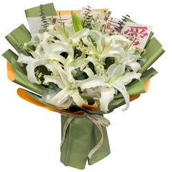 ����������ͷ