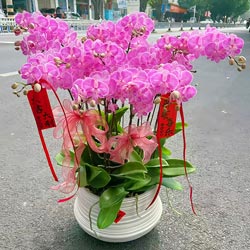 10���ɫ���ƺ�������Ը����Զҫ��