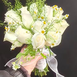 ���������ü