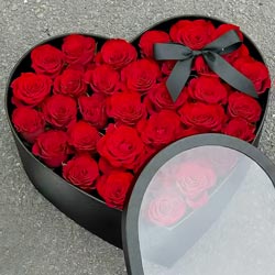 ��ֻ�����Ķ�