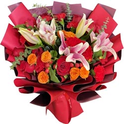 ��ů���ڶ���