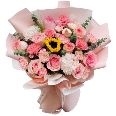 9���õ��4���ɫ����ܰ�����½Կ��ڴ�