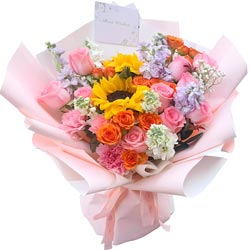 ӵ�������黳