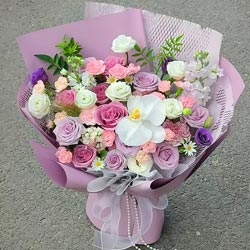 Ե�־�����