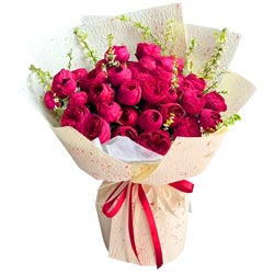 �����ĵ�����