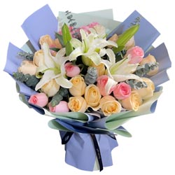 20��õ�廨2֧�ٺϣ�������ֻ����