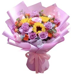 12��õ��3�����տ����������̹��