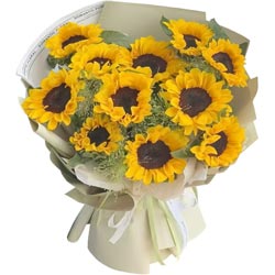 11�����տ�������һ������