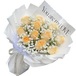 11������õ�������Ƿ����������������