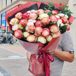 12֧ƻ���ܿ�õ�壬������������