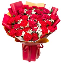 ���곤����