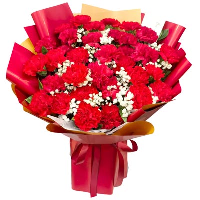 33���ɫ����ܰ�����곤����