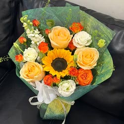 3������õ��1�����տ����Ȱ��������