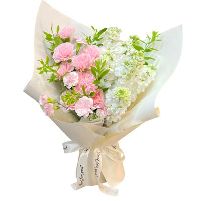 11���ɫ����ܰ8֧��ɫ��������������ů��