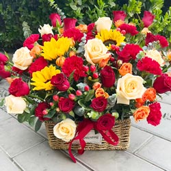 27��õ��11�俵��ܰ�������ƶ�����ů