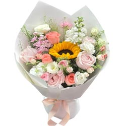 8���õ��1�����տ���������������