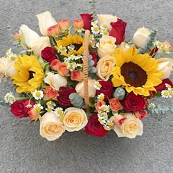 25��õ�����տ����Ứ�������Ѥ��ɫ��