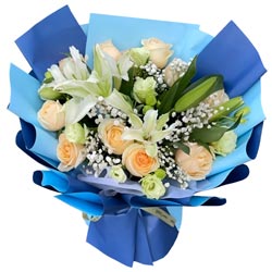 11������õ��2֧�ٺϣ��������ҵļ�