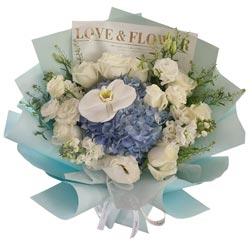 ��Զ��������