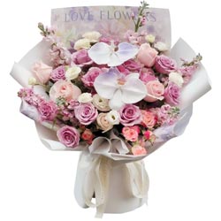 ����ú����