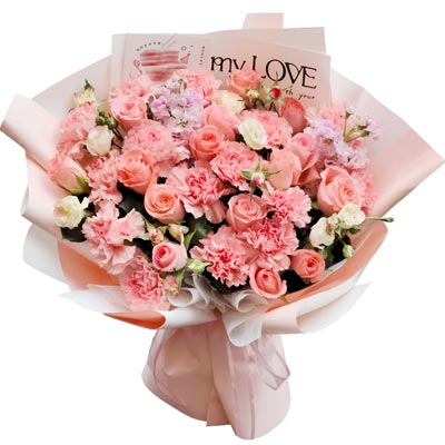 16���ɫ����ܰ12���õ�壬Ը����˲�ֹ