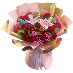 ���²�������