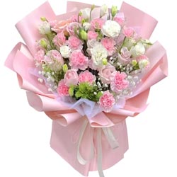 �����Ľ�����