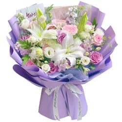 ������㰲��