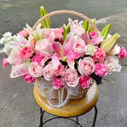 Ц���˼䴺��