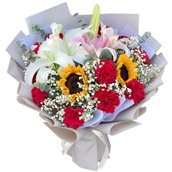 11�俵��ܰ2�����տ�2֧�ٺϣ������ľ���