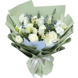 Ψ��������