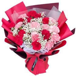 �ļ���������