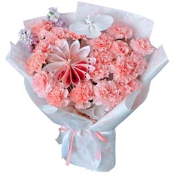 ϲ����������