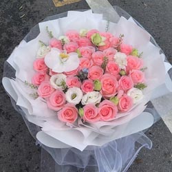 33���õ��1֧�����������㿴������