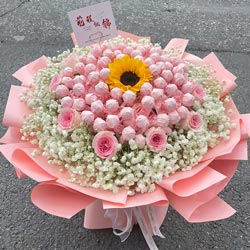 ��Ϩ��Ļ���