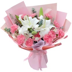 11���ɫ����ܰ2֧�ٺϣ�һ����������