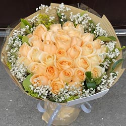 �����Ķ�һ��