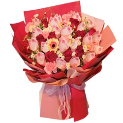10���õ��6�俵��ܰ����ң�Ը��������