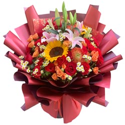 9�俵��ܰ6���õ��ٺϣ�ϲ��ƽ������
