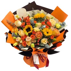 11��õ����2�����տ����̲����޾�ϲ