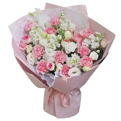 ��˵�����