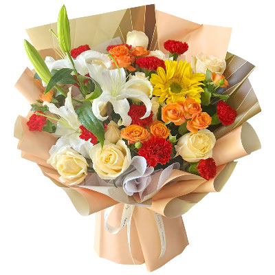 11���ɫ����ܰ9������õ�壬����Բ���Ҹ�