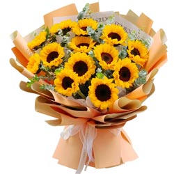 ������δ��