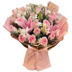 �ǺӰ�������